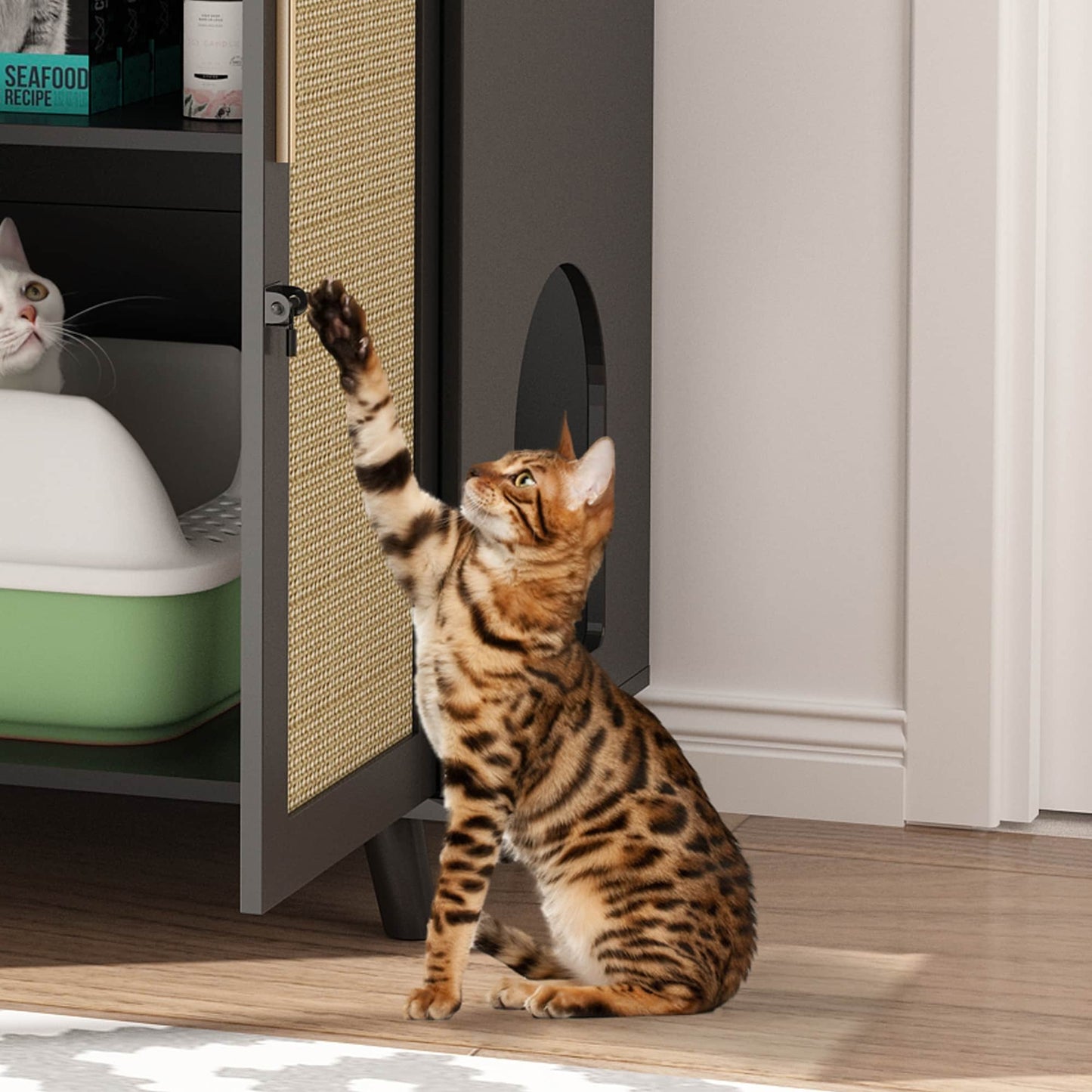 Abri pour litière de chat, maison pour chat, table d'appoint, armoire, bibliothèque