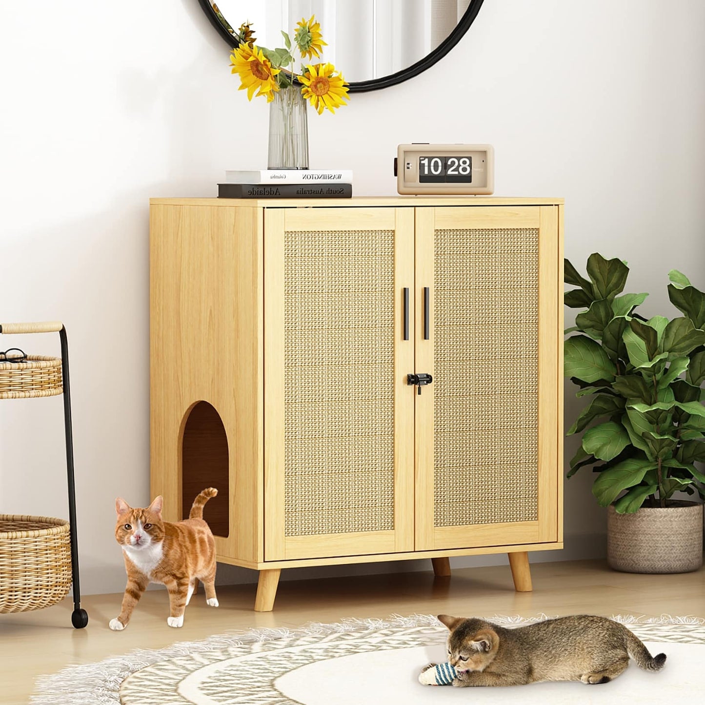 Abri pour litière de chat, maison pour chat, table d'appoint, armoire, bibliothèque