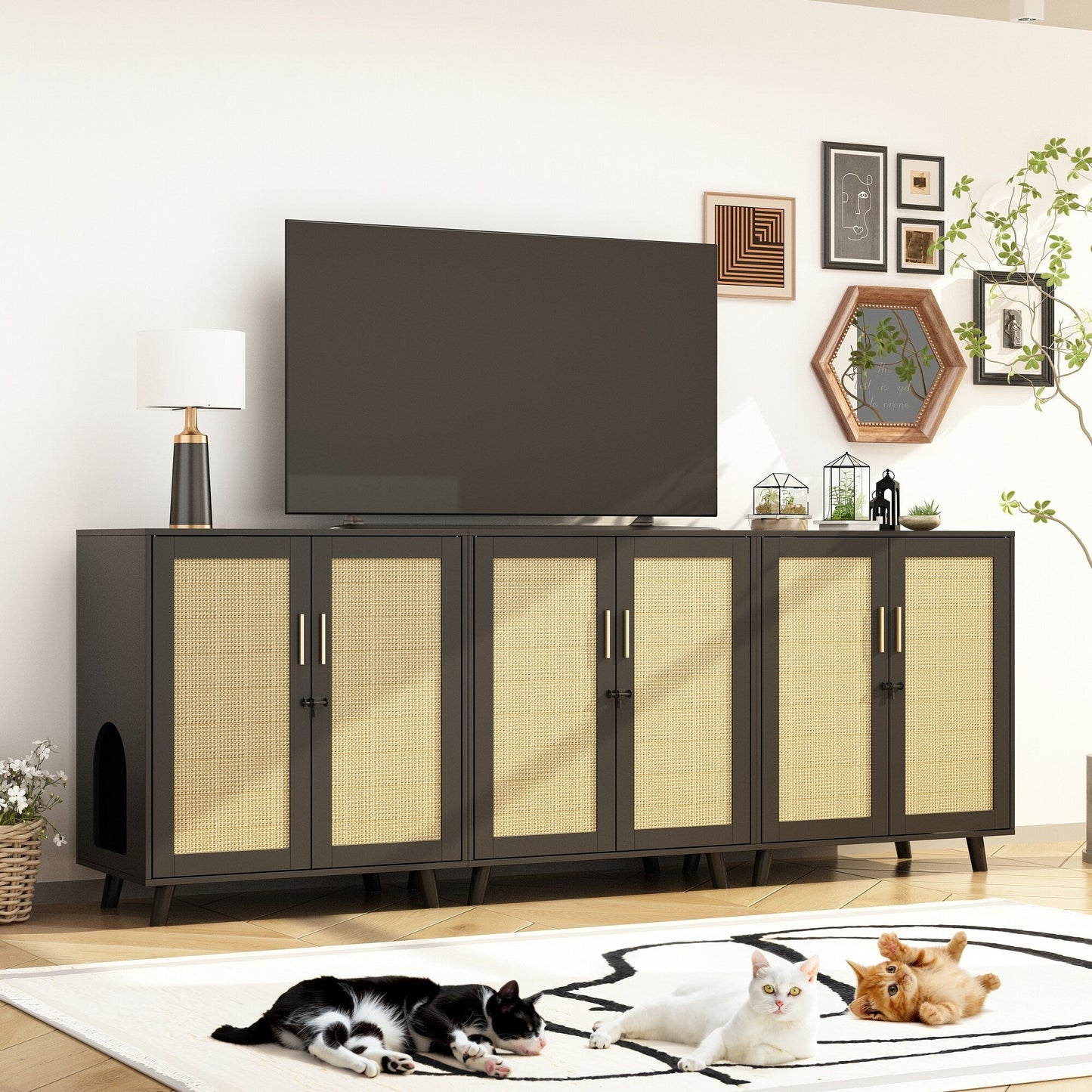 Abri pour litière de chat, maison pour chat, table d'appoint, armoire, bibliothèque