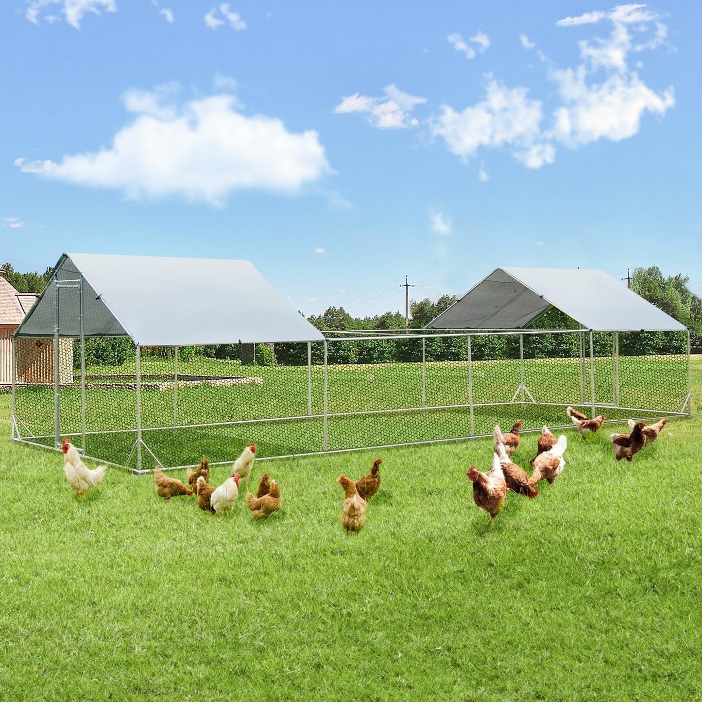 AECOJOY Grand poulailler métallique, enclos à poules métallique, cage à poules métallique à accès facile