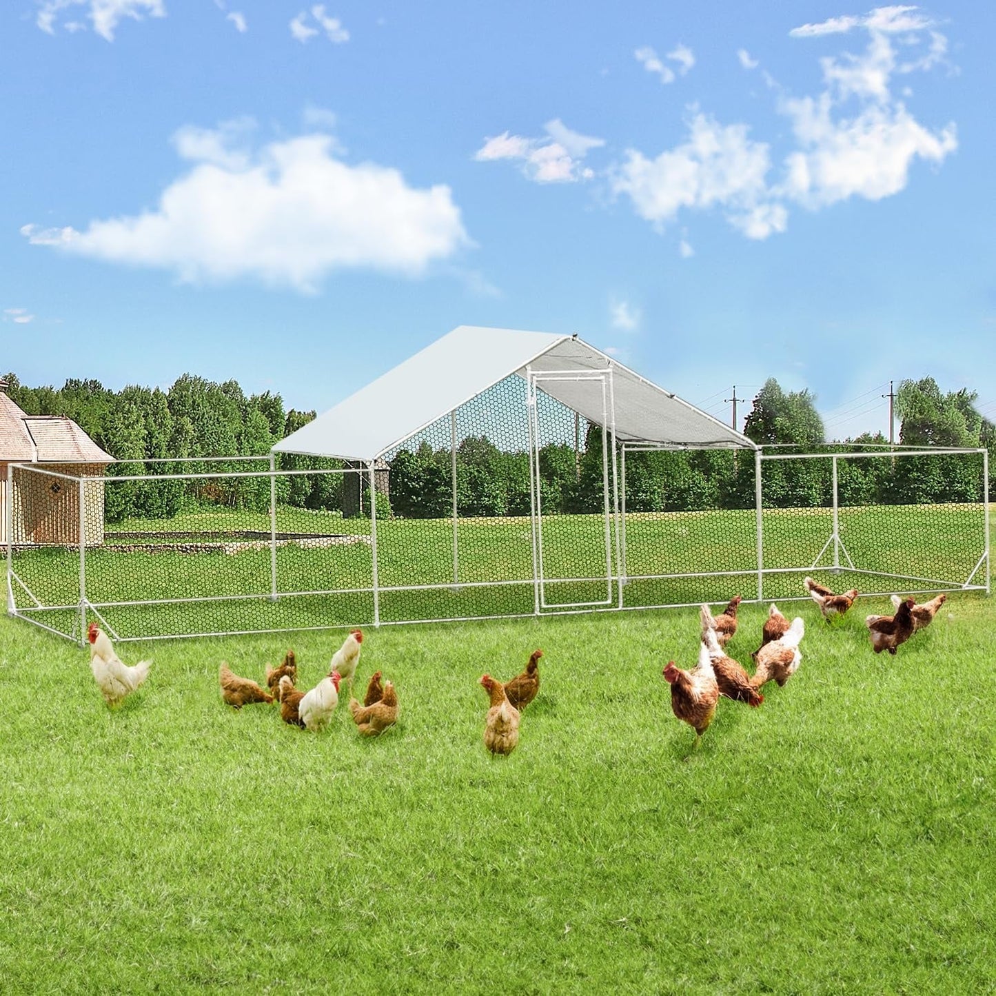 AECOJOY Grand poulailler métallique, enclos à poules métallique, cage à poules métallique à accès facile