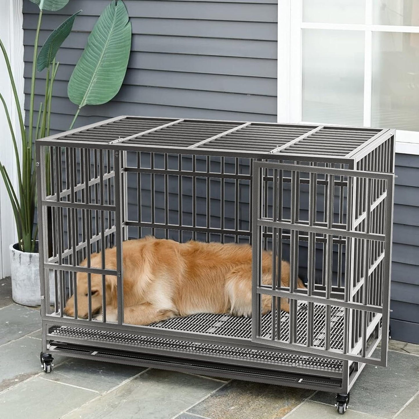 Cage pour chien BOSSIN 48/38 pouces, très résistante et indestructible, cage à chien anti-fuite avec roues verrouillables.